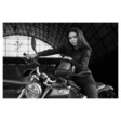 Pando Moto Shell WW 02 Level AA