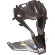 Ilmberger Carbonteile für BMW S1000 RR bis 2018