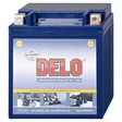 Delo Gel Batterie