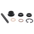 All Balls Racing Hauptbremszylinder Reparatur