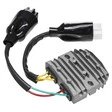 TECNIUM Lithium-Ion Lichtmaschinen-Regler