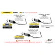 Arrow Pista Auspuffsystem