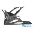 Ilmberger Carbonteile für BMW S1000 RR ab 2019