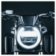 MOTOISM Windschild für CB650R