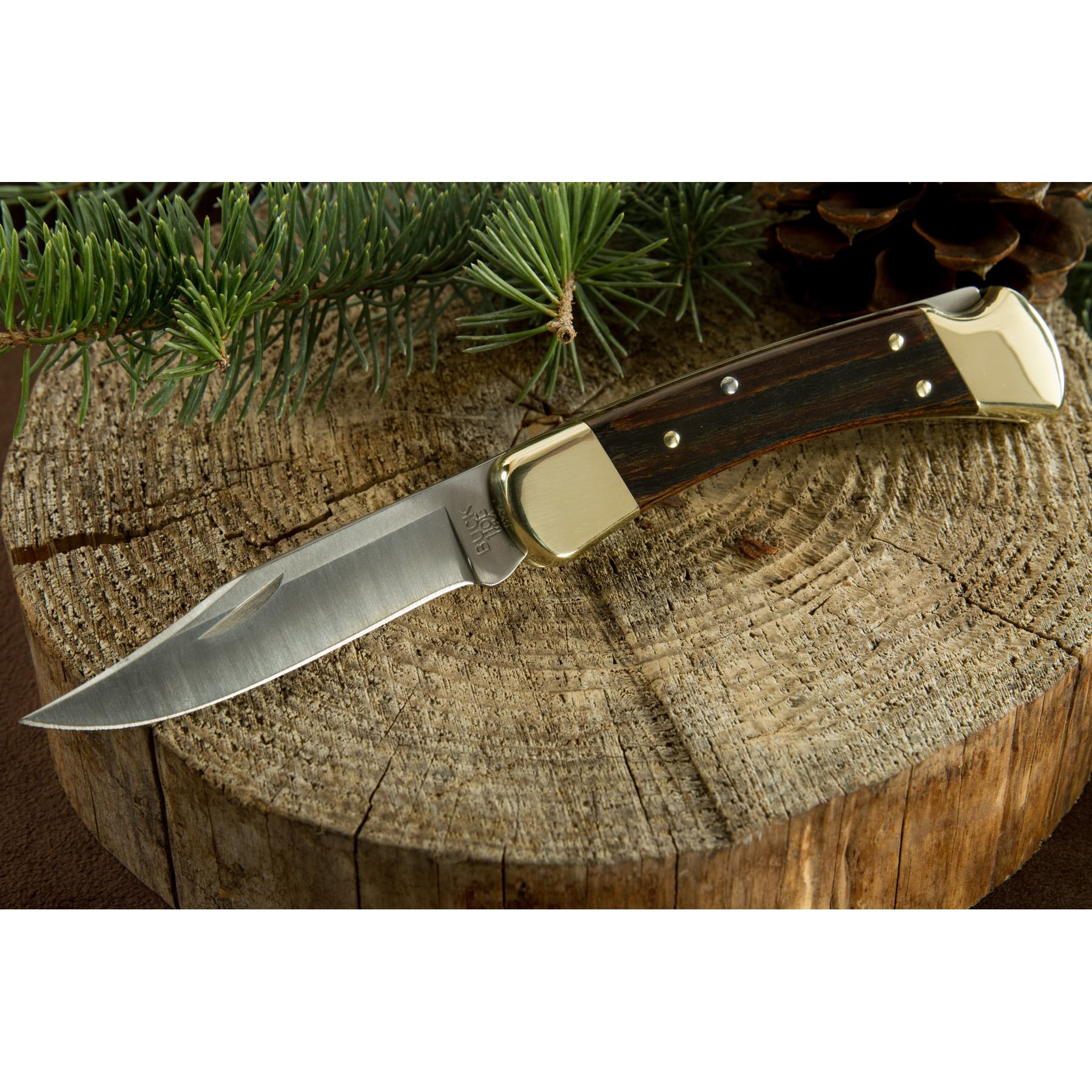 BUCK POCKET KNIFE