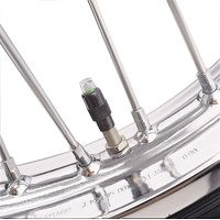 BAAS BA02 PNEU-CONTROL