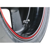 ARIETE RACING VALVES