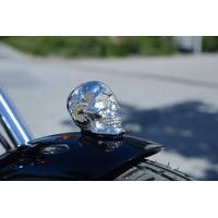 SKULL DECORATIVE FIGURES