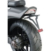 PROTECH LICENSE PLATE