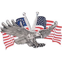 EAGLE WITH US-FLAG