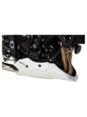 Triumph Street Triple RS 100% Carbon Bugspoiler 16-19 | GS Trading