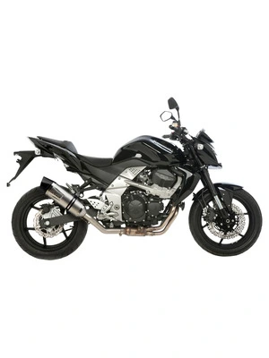 LeoVince LV-One Evo Exhaust System