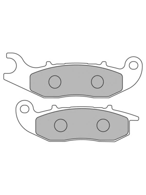 Organische remblokken