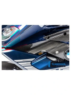 Pieza carbono para BMW R1250 R/RS 19-