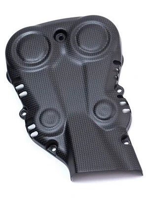 Carbon parts for Ducati Monster 1200/matte