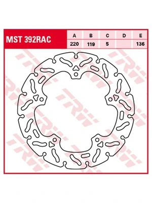 Racing brake discs, rear, with ABE