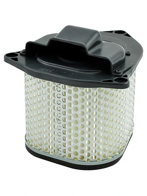 MIW AIR FILTER S3197