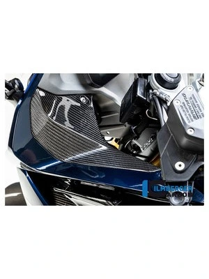 Pièces en carbone pr BMW R1250 R/RS 19-