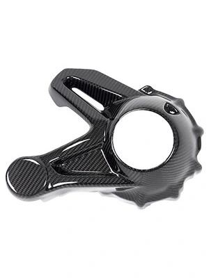 Carbonteile für BMW R1250 GS/Adventure