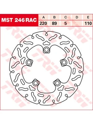 Remschijven Racing, achter, met ABE