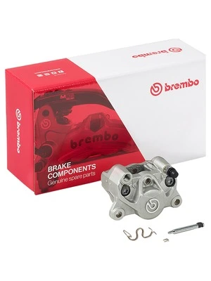 Brake Caliper Rear