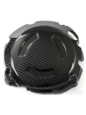 Hiilikuituosat, BMW S1000 R 2014 alkaen