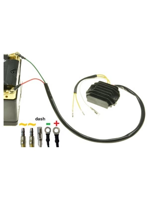 Régulateur alternateur Carmo Lithium-Ion