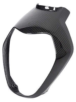 Carbondele til BMW R1250 R/RS 19-