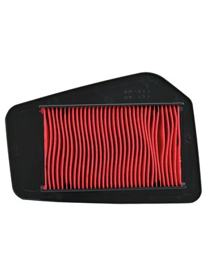 MIW AIR FILTER H1244