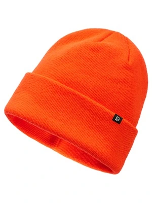 Watch Beanie