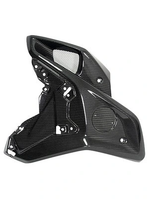 Carbon parts for BMW R1250 GS/Adventure