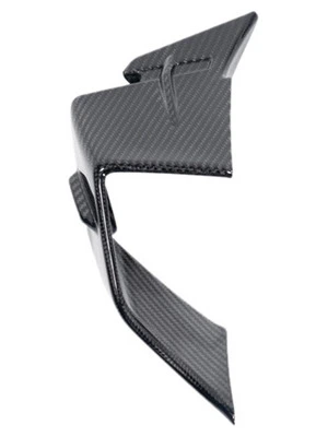 Carbonteile für BMW S1000 RR ab 2019