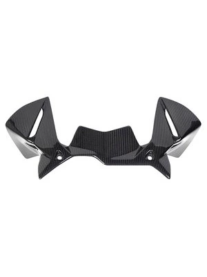 Carbon parts for BMW R1250 GS/Adventure