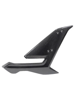 Pièces carbone pr BMW S1000 R à p. 2014