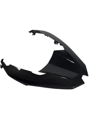 Carbonteile for BMW  R 1200 GS 13-