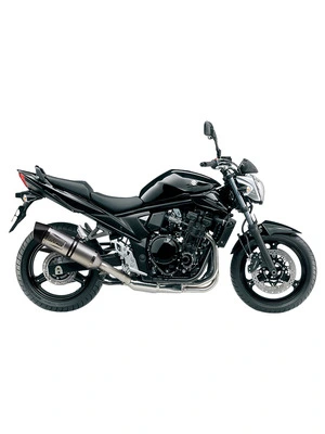 LeoVince LV-One Evo Exhaust System