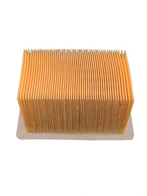 LUCHTFILTER CHAMPION