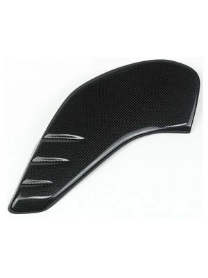 Carbondele til alle BMW RnineT modeller