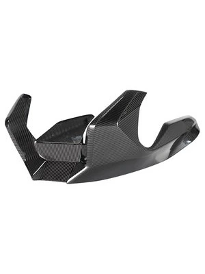 Carbonteile für BMW R1250 R/RS 19-