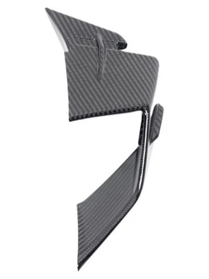 Carbonteile für BMW S1000 RR ab 2019