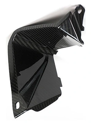 Carbon parts for BMW S1000 XR up to 2019