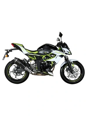 Delta Race-uitlaatsysteem met EG-BE