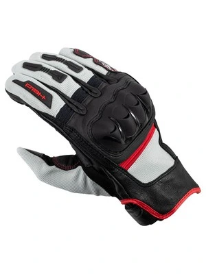 22360 Sambia Louis Edition