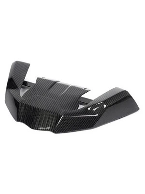 Carbonteile für BMW R1250 GS/Adventure