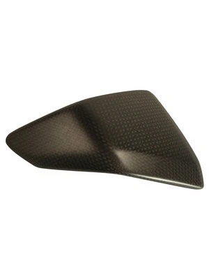 Carbon parts for Ducati Panigale 899/119