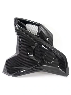 Carbon parts for BMW R1250 GS/Adventure