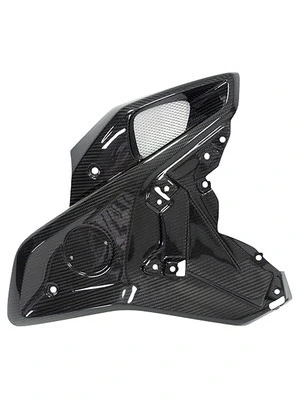 Carbon parts for BMW R1250 GS/Adventure