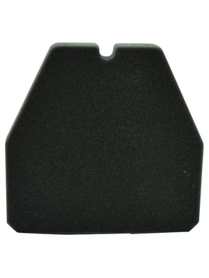 MIW AIR FILTER H1248