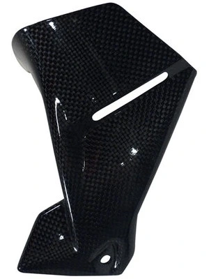 Carbonteile for BMW  R 1200 GS 13-