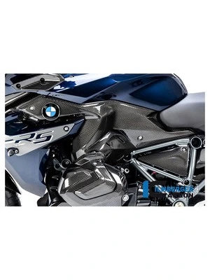 Carbonteile für BMW R1250 R/RS 19-